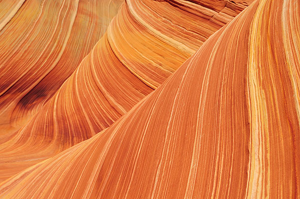 DSC_2828.jpg (4288x2848) NIKON D300 - 18-200mm f/3.5-5.6 // F9 // 1/320 sec // ISO 200 // 56,0 mm // no Flash // 2008:07:17 11:24:30 DSC_2828.jpg (4288x2848) NIKON D300 - 18-200mm f/3.5-5.6 // F9 // 1/320 sec // ISO 200 // 56,0 mm // no Flash // 2008:07:17 11:24:30